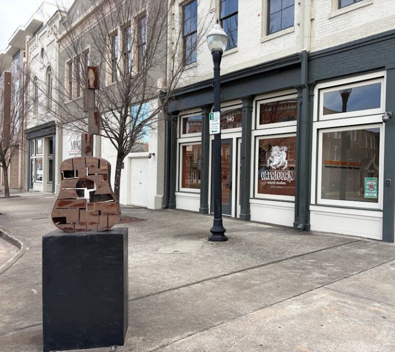 New albums are flooding the music industry. Capricorn Studios explains why. – – The Mercer Cluster